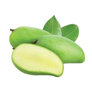 Cây giống Xoài Đài Loan – Giống xoài dễ chăm sóc, nhanh thu hoạch