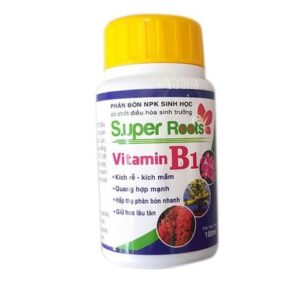 Thuốc kích rễ Super Roots Vitamin B1 chai 100ml